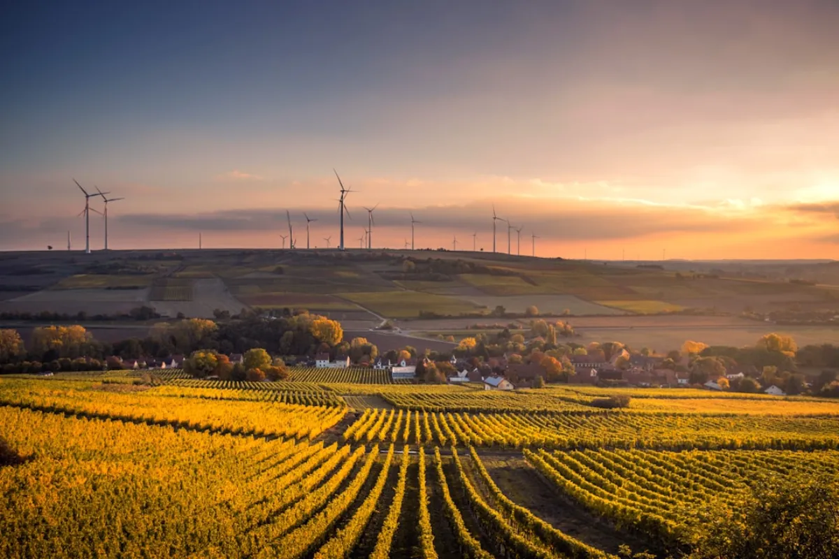 De Energie-transitie in Nederland: Waar Staan We in 2026?
